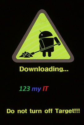 Samsung S Download Mode